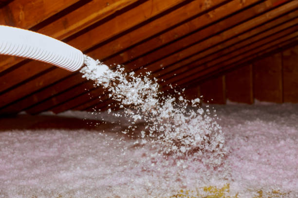 Best Energy Efficiency Solutions in Delano, MN