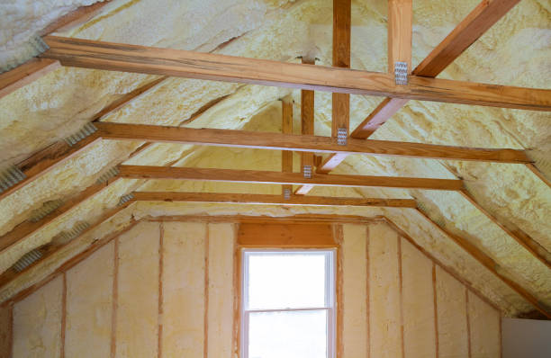 Best Types of Insulation in Delano, MN