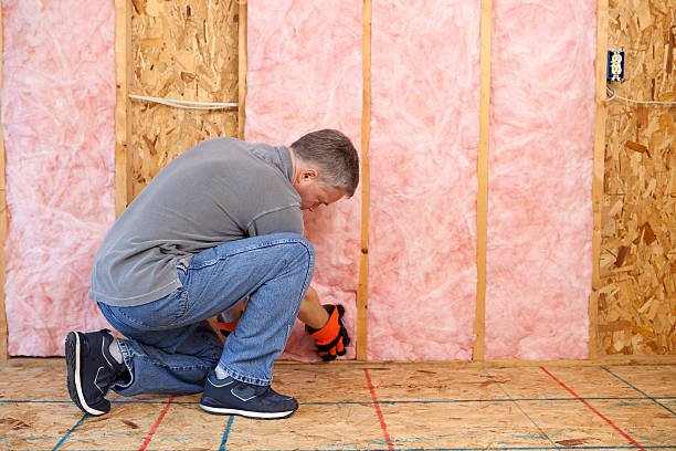 Best Insulation Maintenance and Repair in Delano, MN